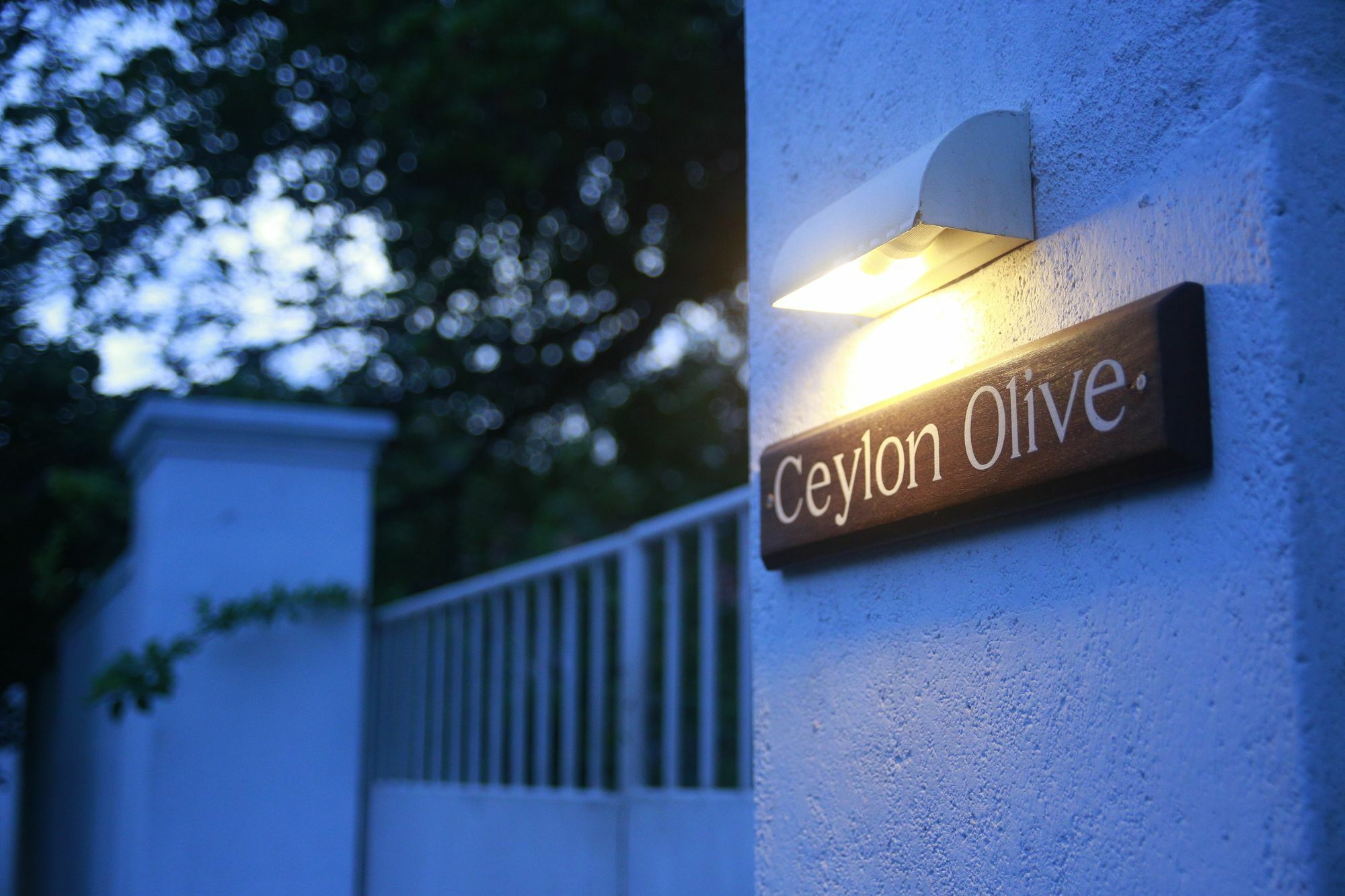 Ceylon Olive 갈레 외부 사진